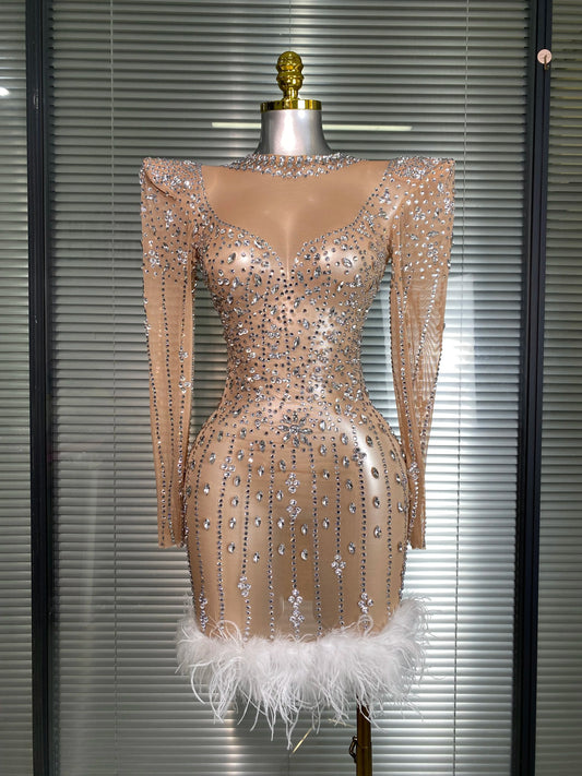 AVP PASSION: Crystal & Feather Long Sleeve Sheer Mini Dress