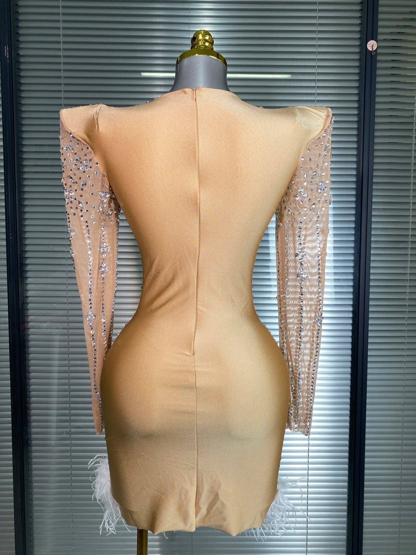 AVP PASSION: Crystal & Feather Long Sleeve Sheer Mini Dress