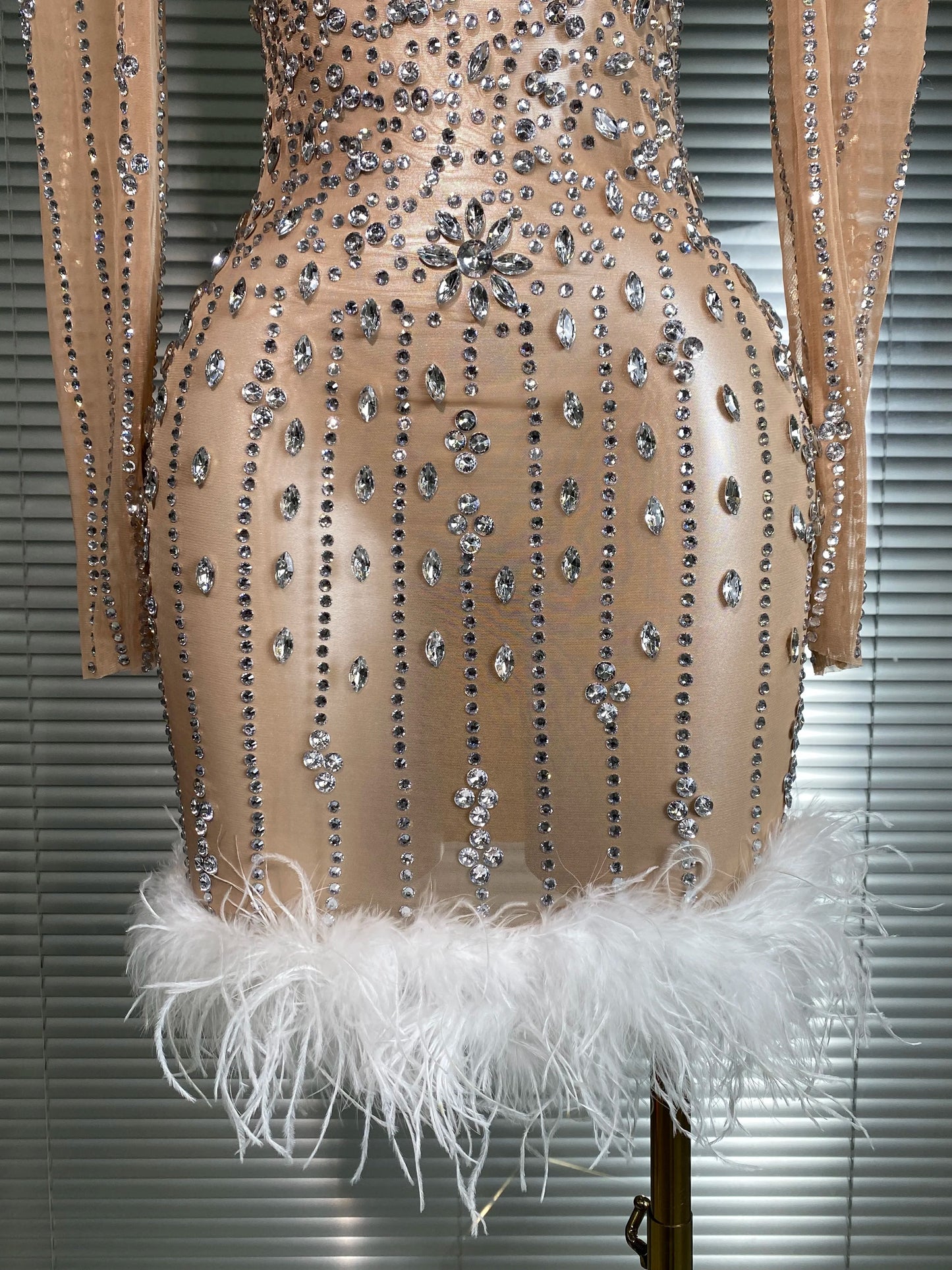 AVP PASSION: Crystal & Feather Long Sleeve Sheer Mini Dress