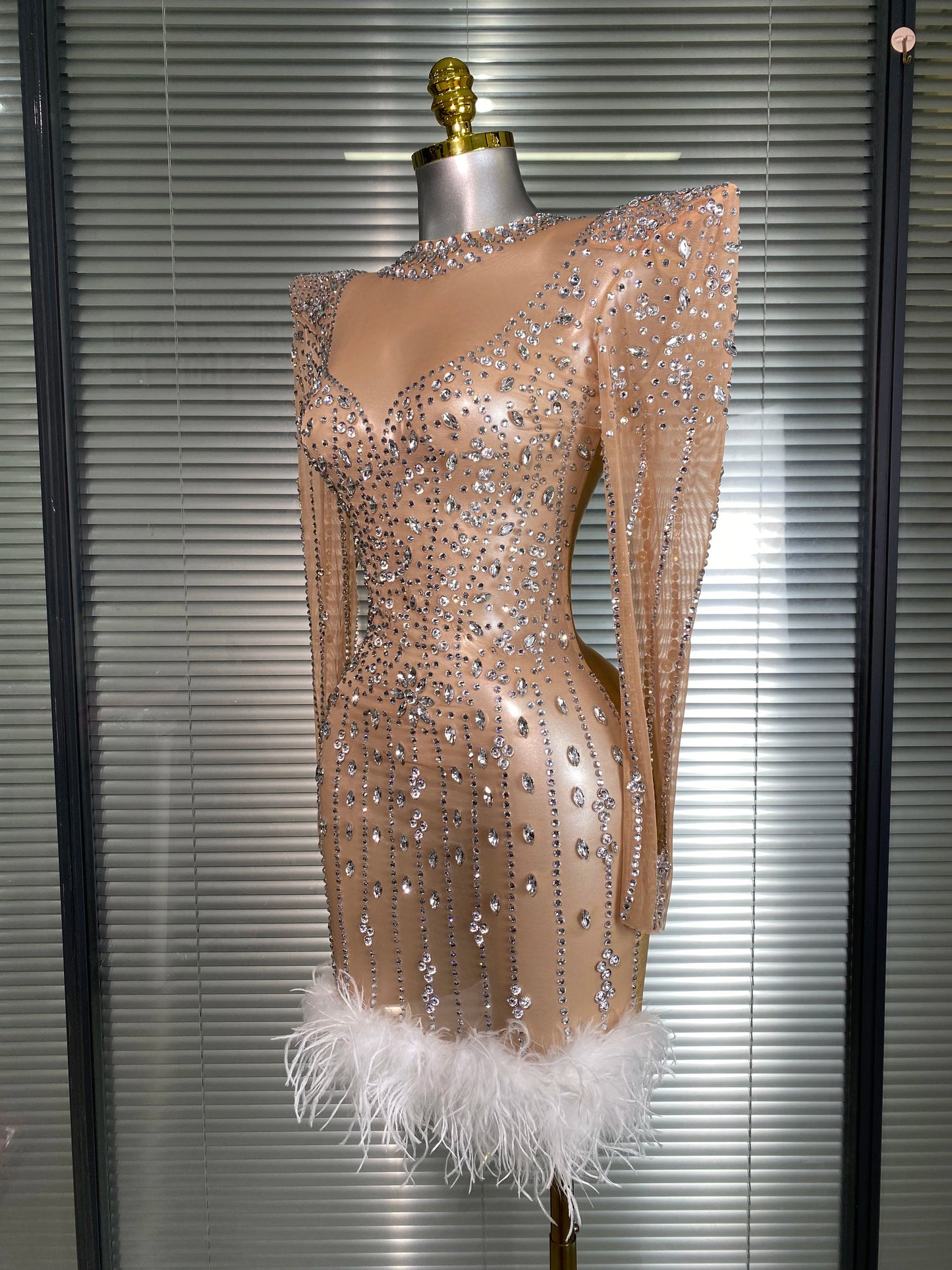 AVP PASSION: Crystal & Feather Long Sleeve Sheer Mini Dress